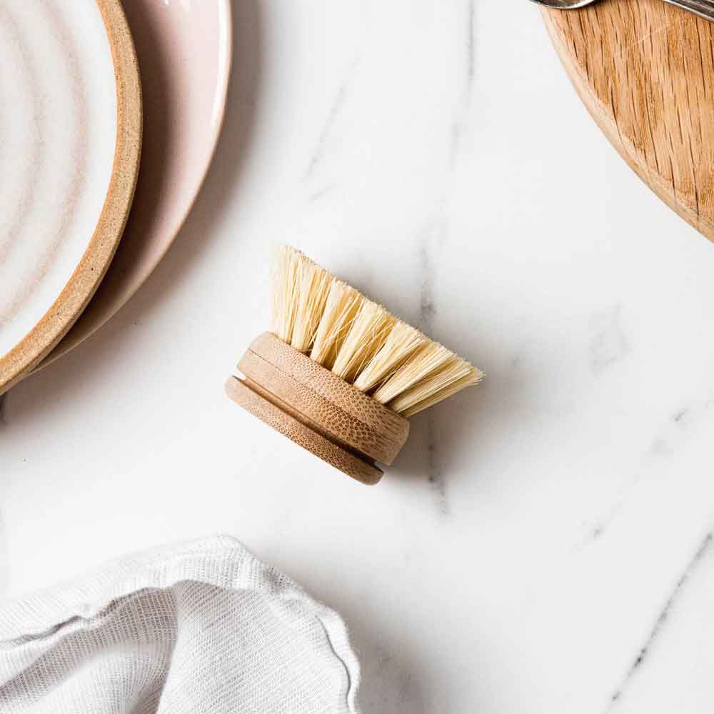 Ever Eco Dish Brush Replacement Head - 1 Pack - L'Organic