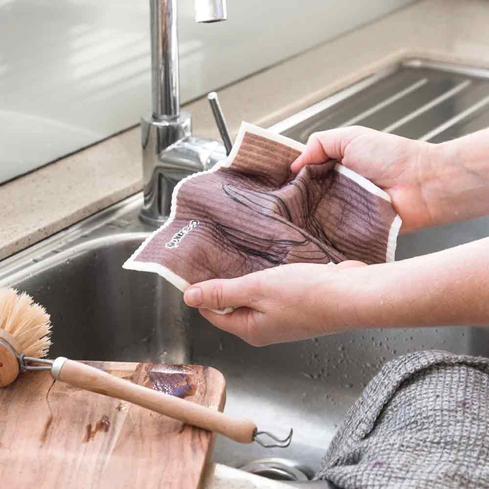 Ever Eco Sponge Cloths Palm Springs Collection - 2 Pack - L'Organic