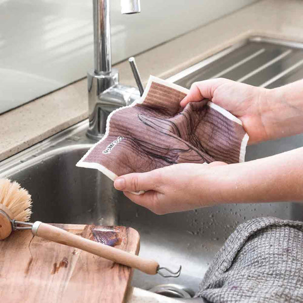 Ever Eco Sponge Cloths Palm Springs Collection - 2 Pack - L'Organic