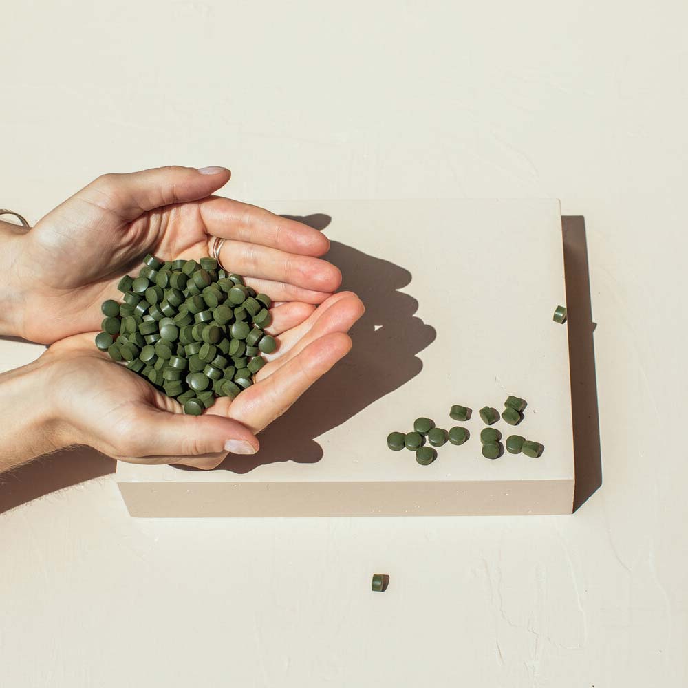Phytality Fermented Chlorella Tablets - 240 Pack - L'Organic