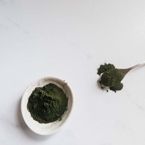 Phytality Phytoplankton Omega & Multi Powder - 60g - L'Organic