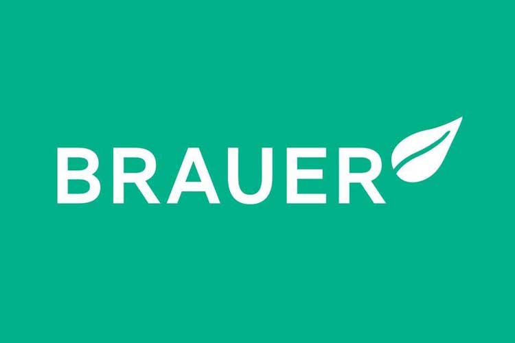 Brauer