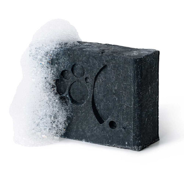 ANSC Oily Skin Facial Cleanser Activated Charcoal & Tea Tree - 100g - L'Organic