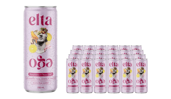 Buy Elta Ego Alcohol Free Raspberry Yuzu G&T - Sans Drinks
