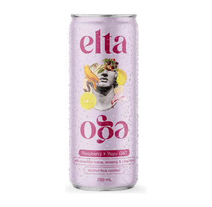 Buy Elta Ego Alcohol Free Raspberry Yuzu G&T - Sans Drinks