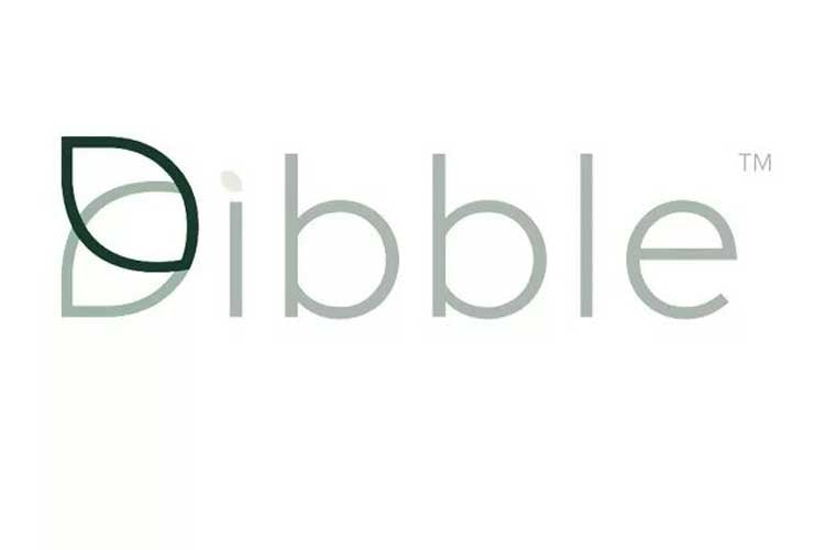 Dibble