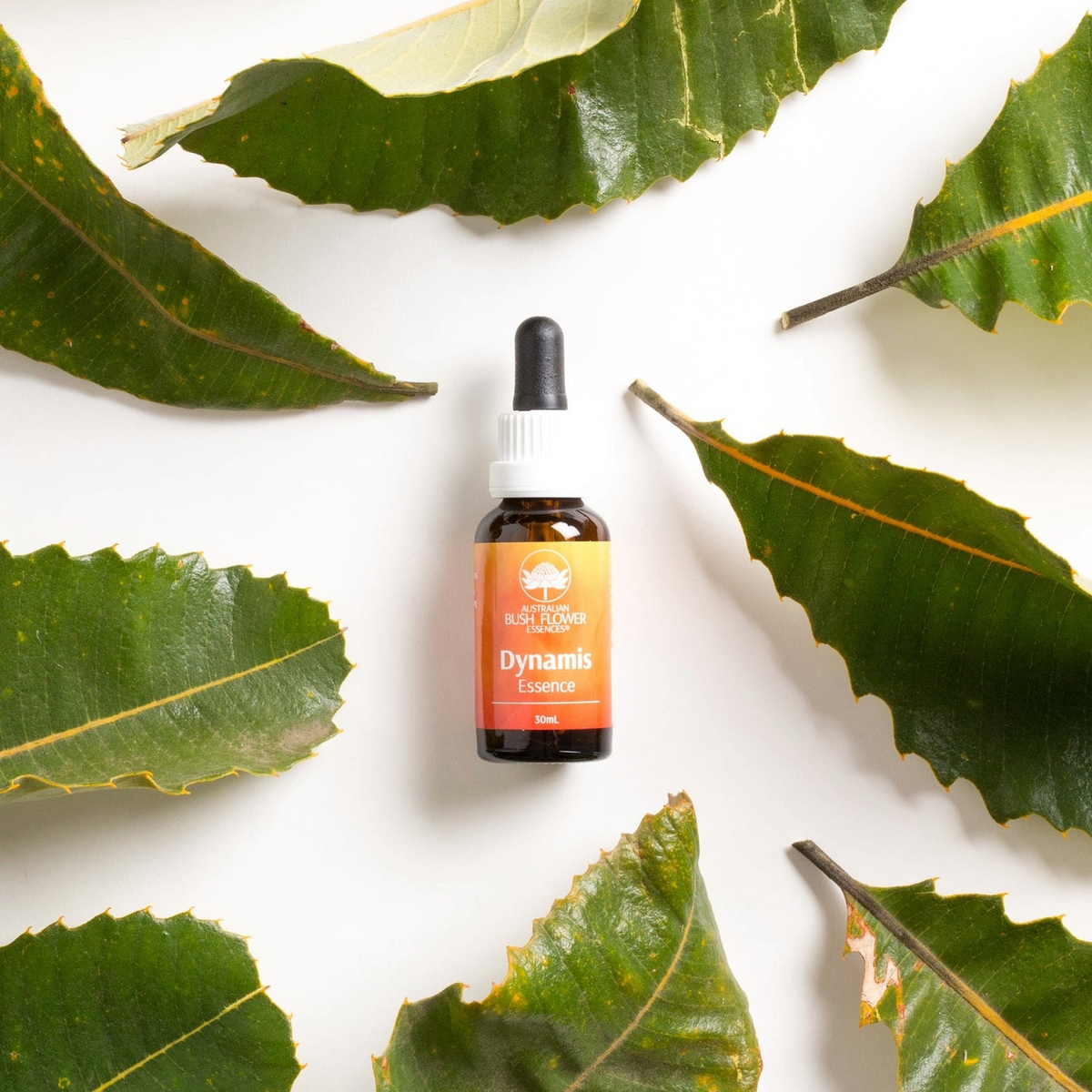 Australian Bush Flower Essences Essence Drops - Dynamis - 30ml