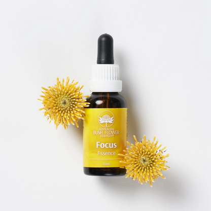 Australian Bush Flower Essences Essence Drops - Focus - 30ml