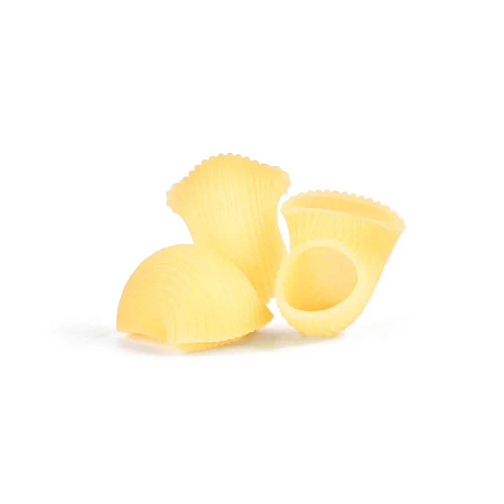 GIROLOMONI Organic Durum Wheat Semolina Pasta Conchiglie - 500g - L'Organic