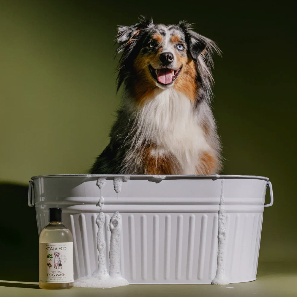 KOALA ECO Dog Wash Marjoram & Rosalina Essential Oil - 500ml