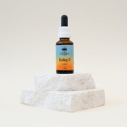 Australian Bush Flower Essences Numerology Essence Drops - Ruling 11 - 30ml
