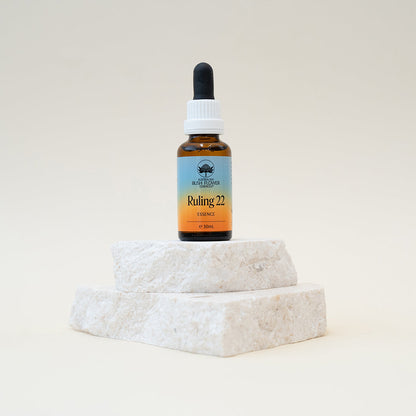 Australian Bush Flower Essences Numerology Essence Drops - Ruling 22 - 30ml