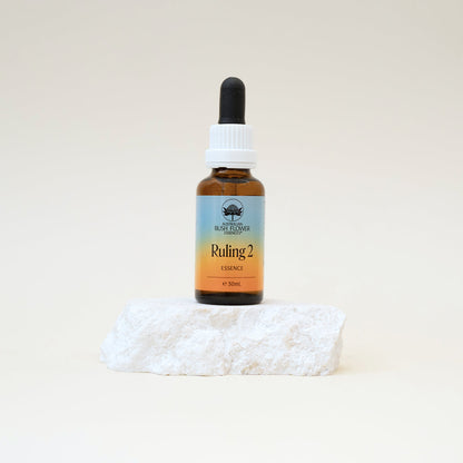 Australian Bush Flower Essences Numerology Essence Drops - Ruling 2 - 30ml