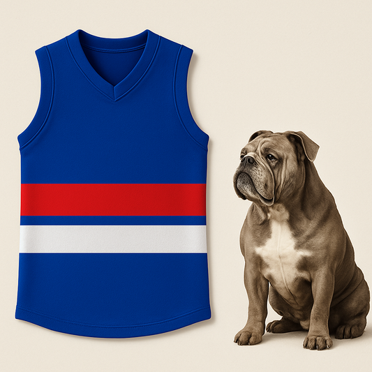 Soapmaid Footy Bath Bomb (Blue, Red & White) - Western Bulldogs - 1 Pack